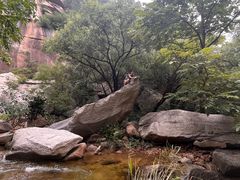 -黑龙潭风景区