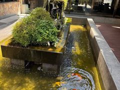 -辉哥火锅(虹桥路店)