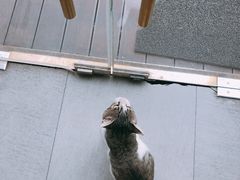 -UNI UNI(环亚凯瑟琳店)