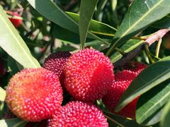 iphone_upload_pic-王家小院