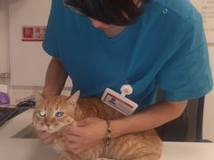 -艾贝尔宠物医院 ·中兽医·宠保定点(北门桥店)