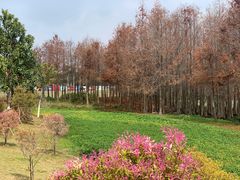 -厦门园林博览苑