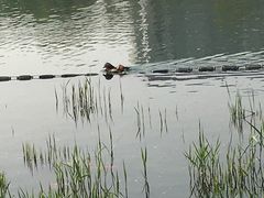 -郭守敬纪念馆
