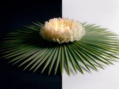 -荷兰布尔玛国际花艺学院