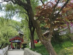 -秦岭终南山世界地质公园翠华山景区