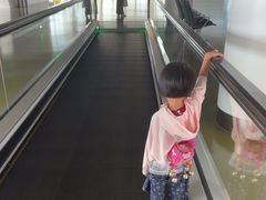 -郑州新郑国际机场-T2航站楼