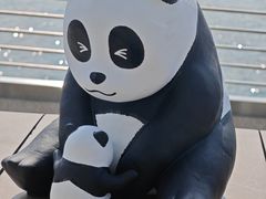 -星光大道