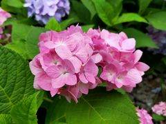 -新天地活力PARK