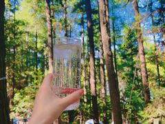 -重庆睡佛山森林公园