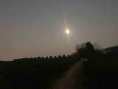 -南京市江宁方山