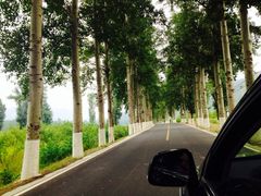 iphone_upload_pic-乌龙峡谷景区