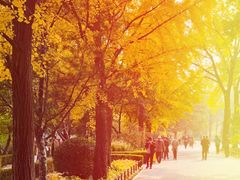 -国家植物园南园