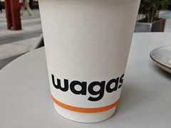 -Wagas沃歌斯(正大乐城店)