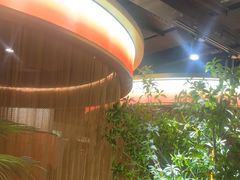 -鼎原力量东北吊炉烧烤(临河街店)