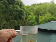 -阿巧茶庄