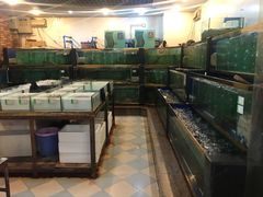 -小贝壳酒楼(经九路店)