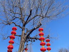 -无锡梅园公园