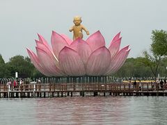 -白洋淀景区