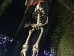 -亚马逊丛林水乐园