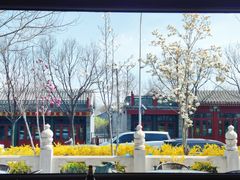 景观位-月福京味斋·烤鸭店·北京菜(鼓楼总店)