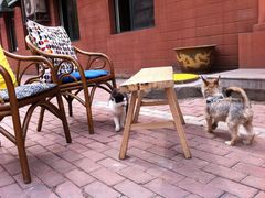 -哈尔滨北方国际青年旅舍(中央大街店)