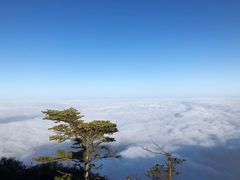 -峨眉山风景名胜区