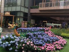 -瑞虹新天地月亮湾
