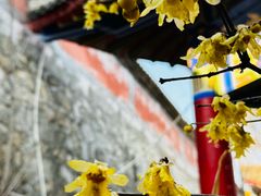 -西安大兴汤院遗址公园