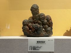 -湖南省地质博物馆