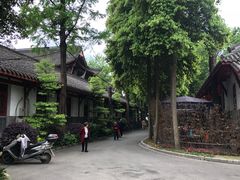 -青羊宫