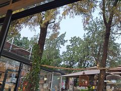 -蘇河湾·新鲁菜·泰山宴(泰山店)