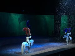 -cavalia·舞马