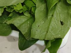 -黑山牛肉汤火锅(花城汇店)