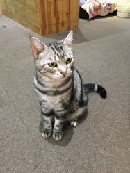 -阪川造型salon