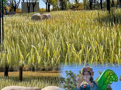 -鄂尔多斯野生动物园