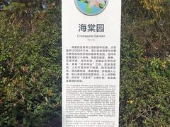 -昆山城市生态森林公园