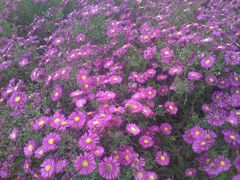 DSC00394-中华石雕艺术园