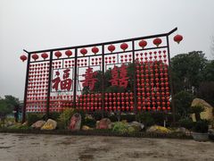 -合肥滨湖国家森林公园