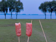 -漕湖湿地公园