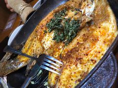 -云海肴·云南小炒·汽锅鸡(天津国金汇店)