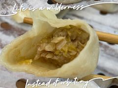 酸菜猪肉水饺-枫林饺子