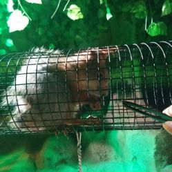 -酷嗒动物文化乐园(cutezoo西溪乐天城店)