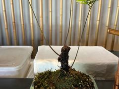 -竹里馆 ·茶食(奥体店)