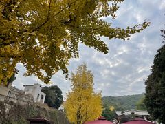 -岳麓山风景名胜区