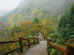 -九峰山