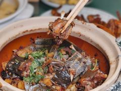 -金龙·打边炉(南京西路店)