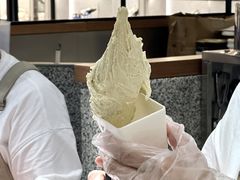 -野人先生Gelato(上海长宁龙之梦店)