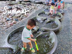-成都市活水公园