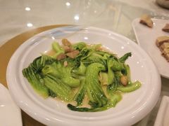 -姚林轩