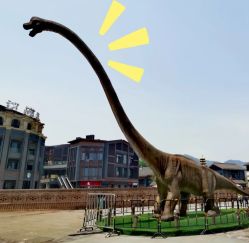 -恐龙探索乐园(磁器口店)